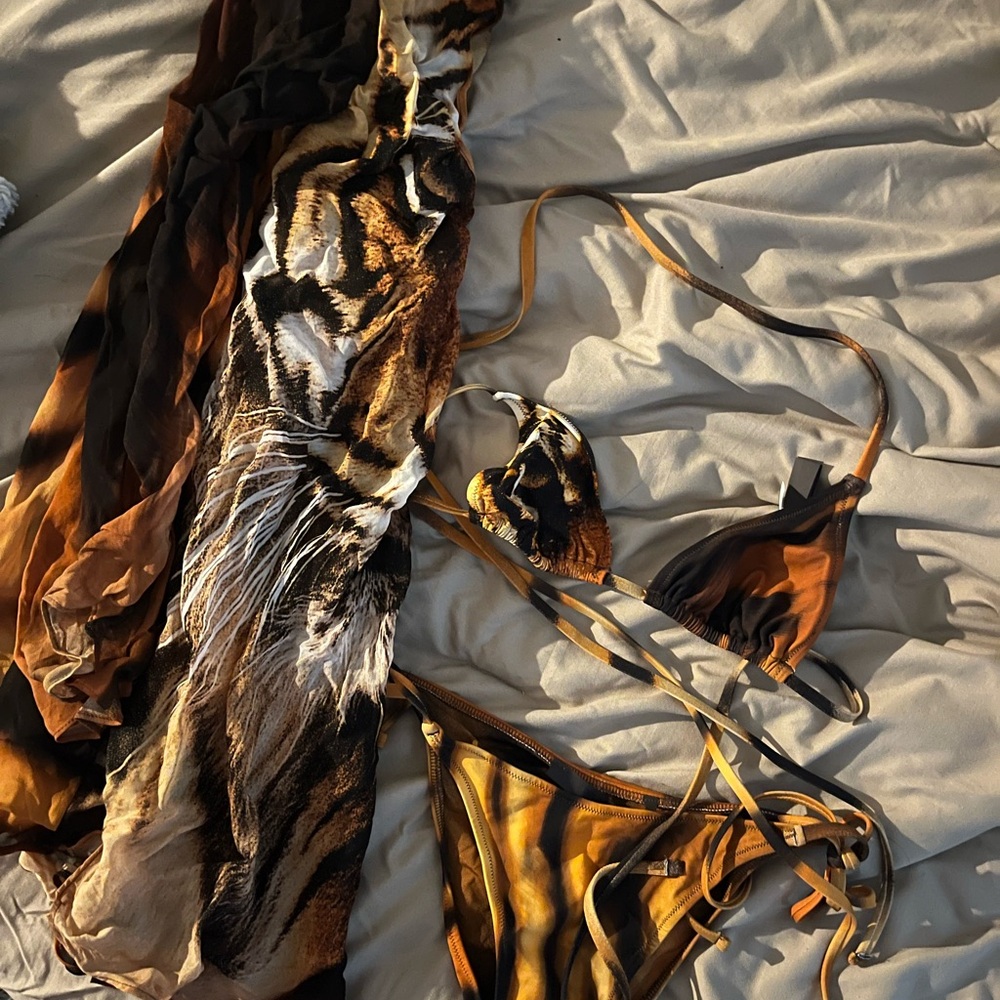 Roberto Cavalli Tiger Print Swim Panties